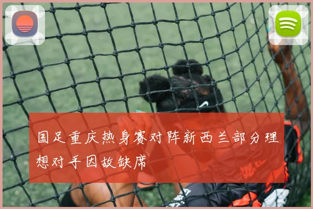 国足重庆热身赛对阵新西兰部分理想对手因故缺席